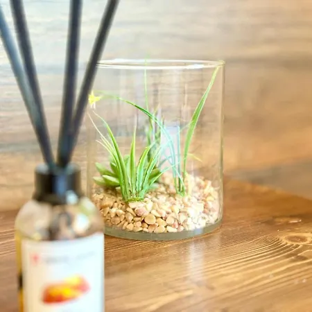 Boutique 2 Bedroom *